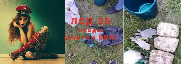 таблы Богородицк
