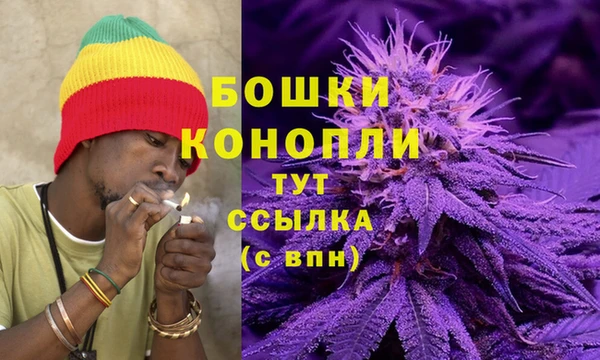 таблы Богородицк