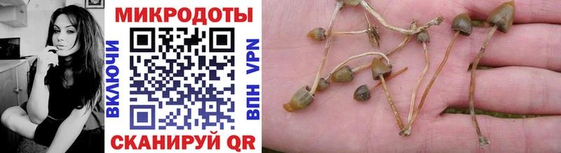 Псилоцибиновые грибы MAGIC MUSHROOMS Малая Вишера